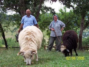 ANNEM VE BABAM  KUZULARIYLA BERABER 