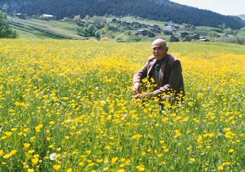 Dedem