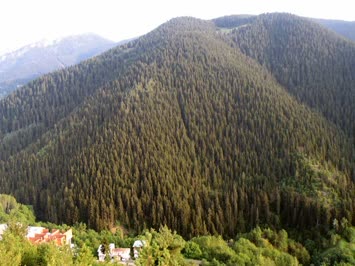 Çavdarlı Köyü