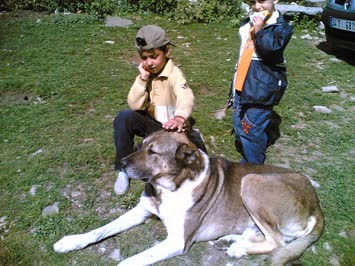 candaş toni ile