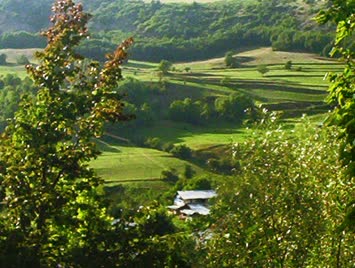 Savaş Köyün-1 M.TEMUR