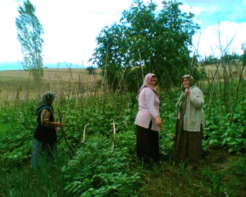 eşim ve baldızlarım