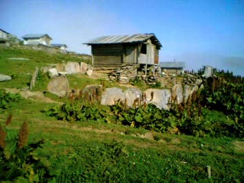Balvana