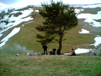 Balvana