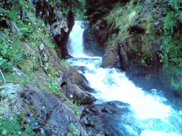 Balvana
