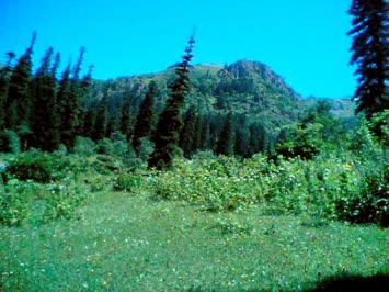 Balvana