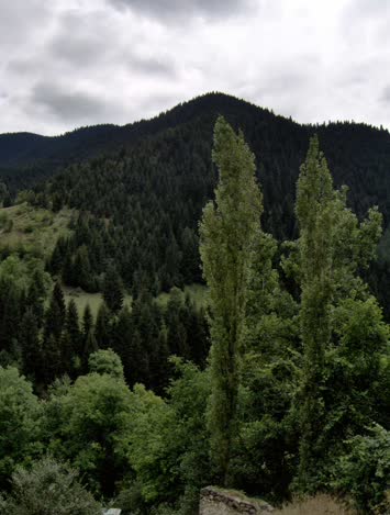 23.07.2006 / Şavşat
