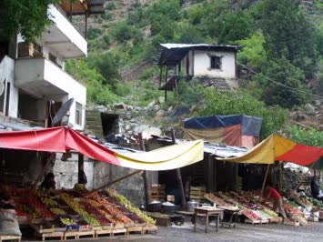 Soguksu manavi ve MISIRLARI