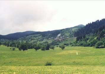 Meşeli