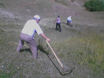 babam ferdi abi büyük babam bicerken