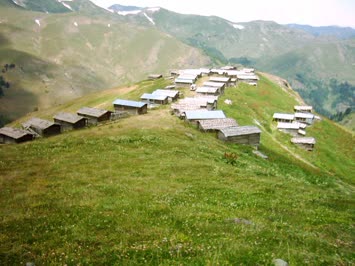 Oba Yayla