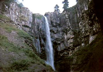 Murat Kara