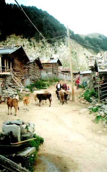 Tbet’de yaşam.!