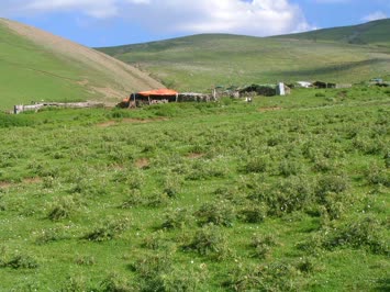 Çavdarlı Köyü