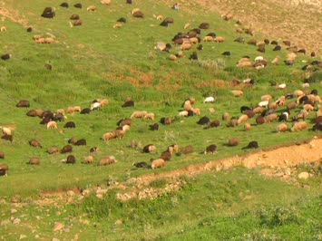 Çavdarlı Köyü
