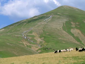 Çavdarlı Köyü
