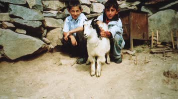 Cenkelek yaylasında Ömer yeğenim arkadaşı ve oğlak