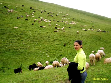 Arsiyan