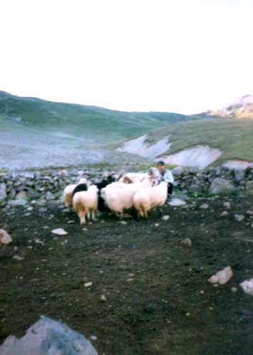 Çoşkun akpınar