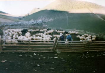  O zamanlar hayat güzeledi 1998. Coşkun Akpinar