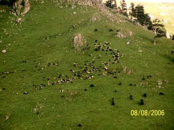 Çartulet
