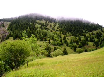 Göksun Alagöz