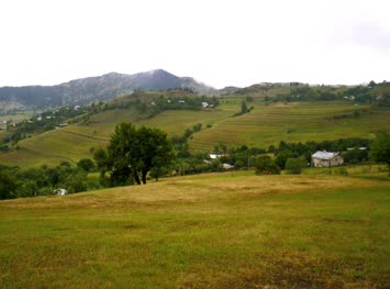 Mamanelis