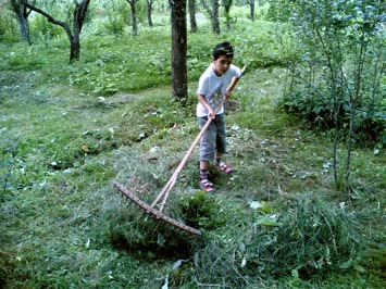 candaş ot yığıyor