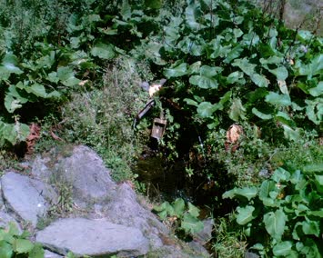 Ciftpinarlar