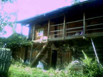 Mustafa Çelik Galeri