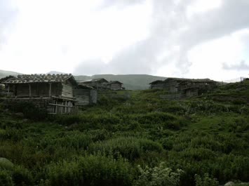 Yayla