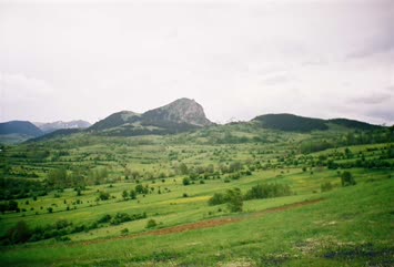 köyum
