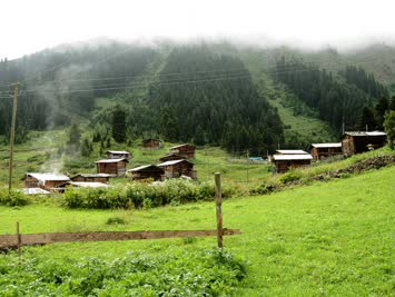 Seher Gökçe