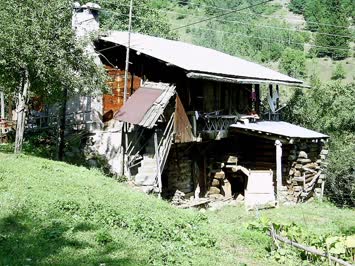 tivikev
