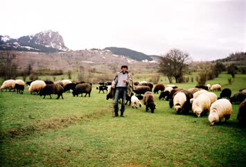 Köyüm İnsani