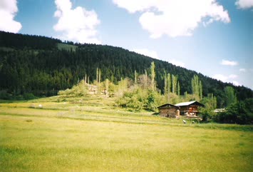 Badacigil