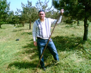 Tırpancı