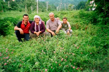 ailem