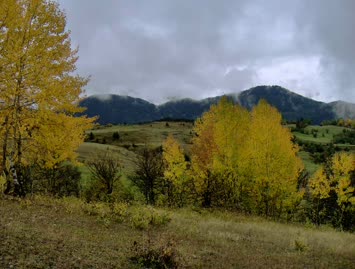 Suloban / 14.10.2006