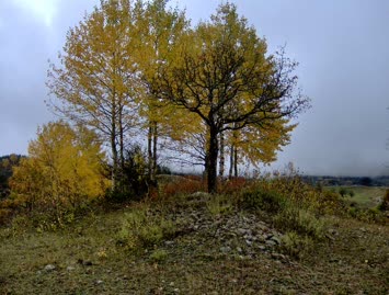 Suloban / 14.10.2006