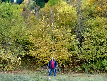 Satarların Dibinde / 15.10.2006 / Suloban