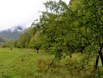 Elma Ağaçları Arasında / Şalikgil / 15.10.2006 / Suloban