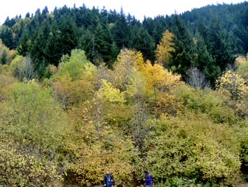 Satarların Dibinde / 15.10.2006 / Suloban