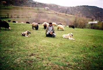 ciftlik koyu yukari mahallesi