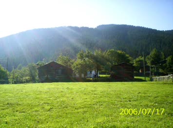 T DEMiRAL IN SOPORODAKi EVi