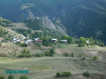 tiyelgil