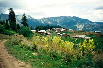 Cennet Vaket