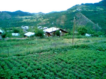 Balvana