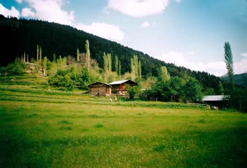Mahallemiz Badacigil