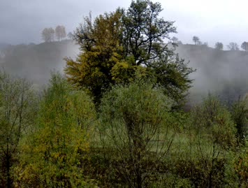 Suloban / 15.10.2006